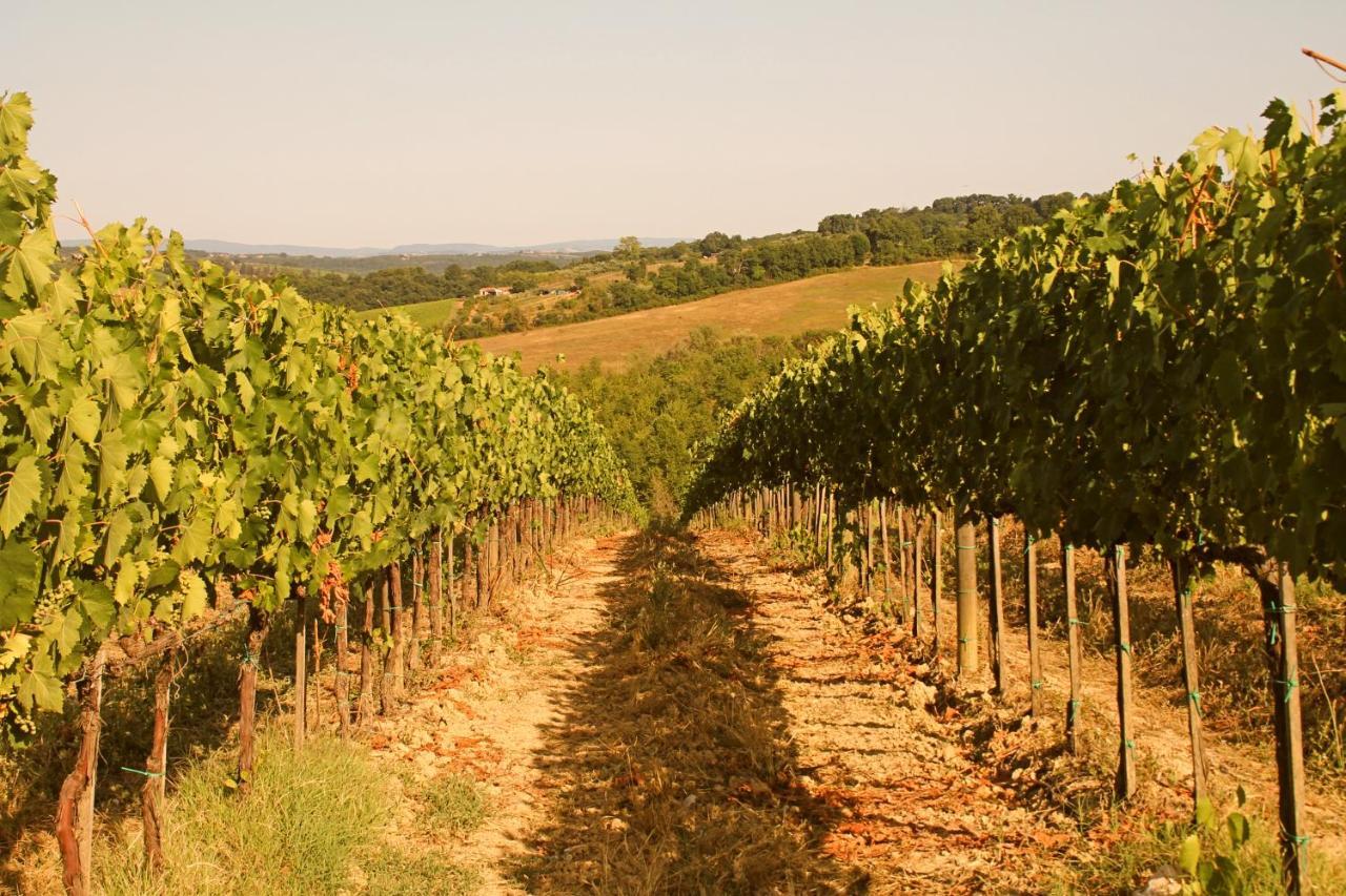 La Torre In Chianti Daire Siena Dış mekan fotoğraf